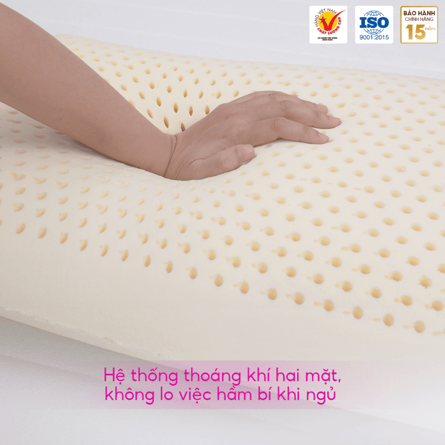 GỐI NẰM OVAL CAO SU THIÊN NHIÊN THẮNG LỢI - Ảnh 5