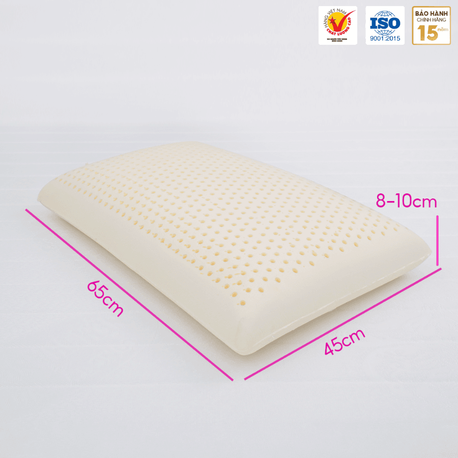 GỐI NẰM OVAL CAO SU THIÊN NHIÊN THẮNG LỢI - Ảnh 3