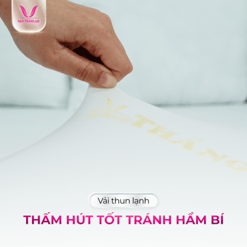 nemthangloichinhhang.vn csn cao cap thun