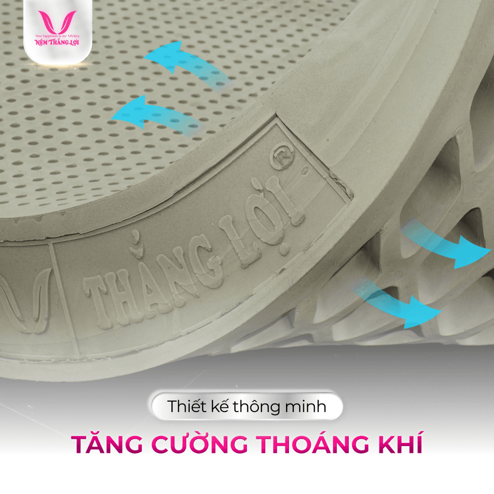 NỆM 100% CAO SU THIÊN NHIÊN THẮNG LỢI BOBO – THAN HOẠT TÍNH - Ảnh 6