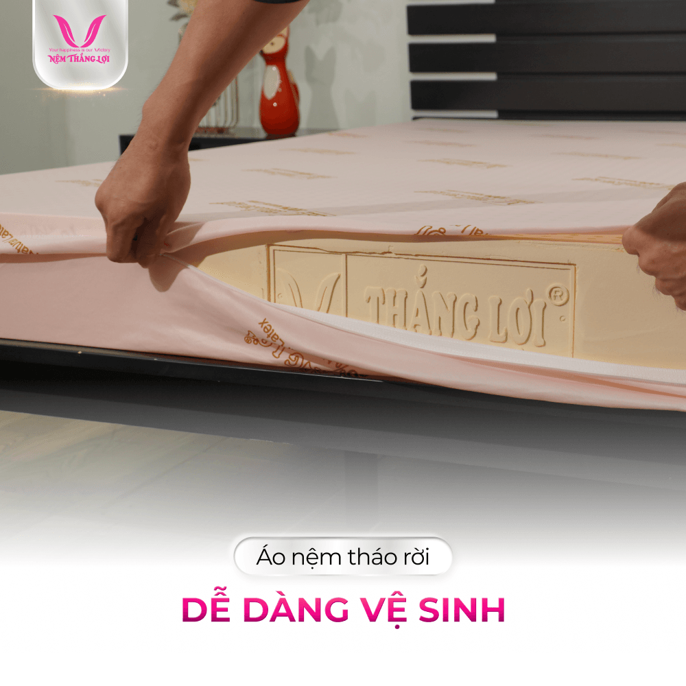 NỆM 100% CAO SU THIÊN NHIÊN THẮNG LỢI SISI – ADVANCED - Ảnh 6