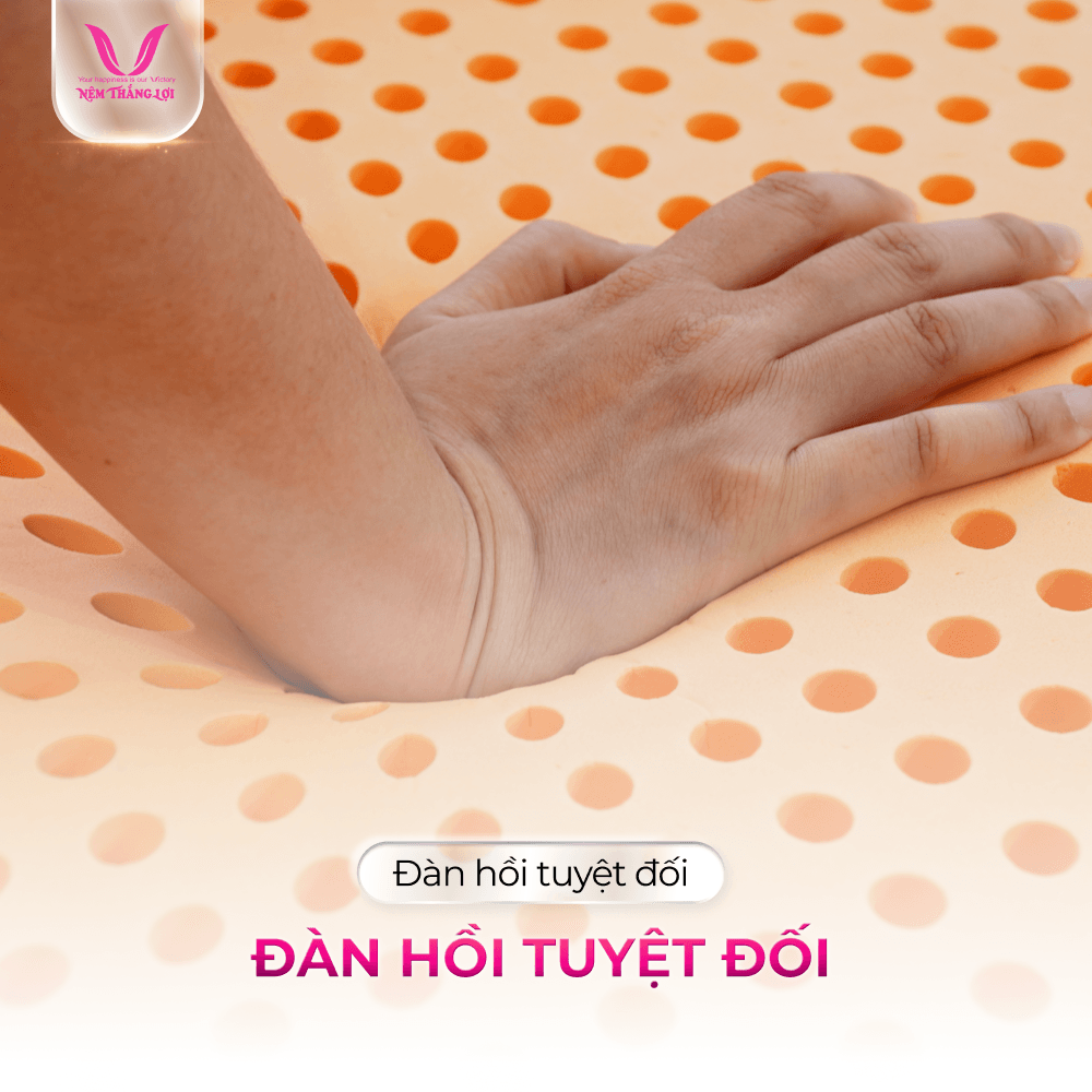 nemthangloichinhhang.vn cstn susu original dan hoi tuyet doi