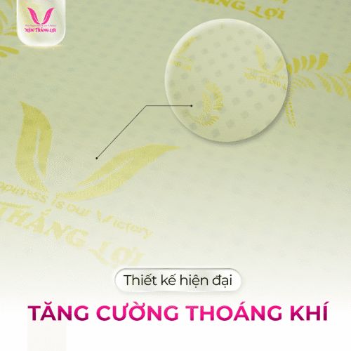 nemthangloichinhhang.vn goled latex cao cap thiet ke