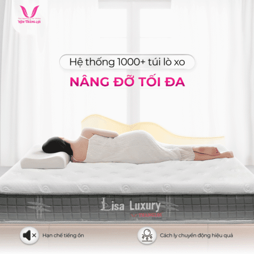 nemthangloichinhhang.vn lo xo lisa luxury cach ly chuyen dong