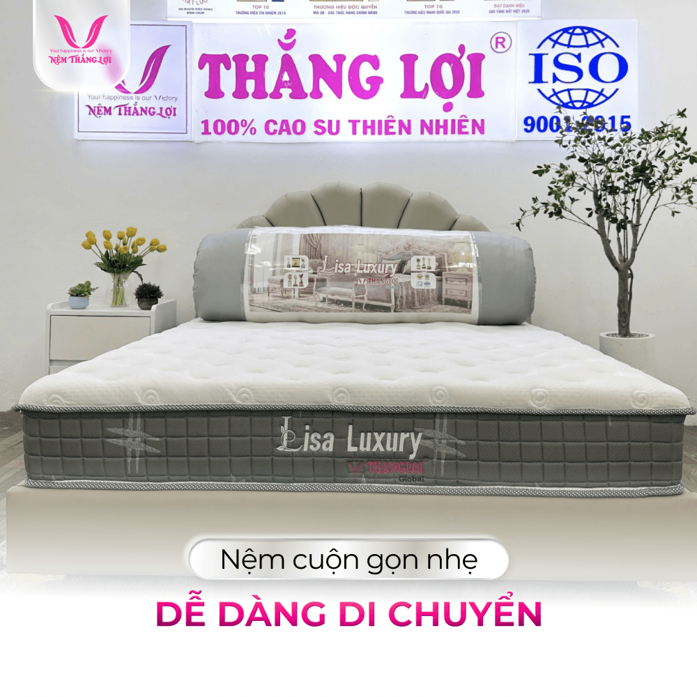 NỆM LÒ XO TÚI ĐỘC LẬP LISA LUXYRY THẮNG LỢI - Ảnh 3
