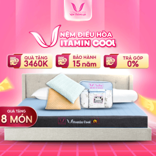 NỆM ĐIỀU HÒA VITAMIN COOL THẮNG LỢI