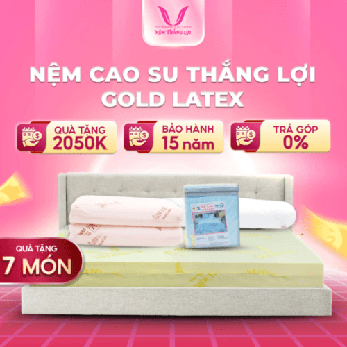 NỆM CAO SU GOLED LATEX THẮNG LỢI