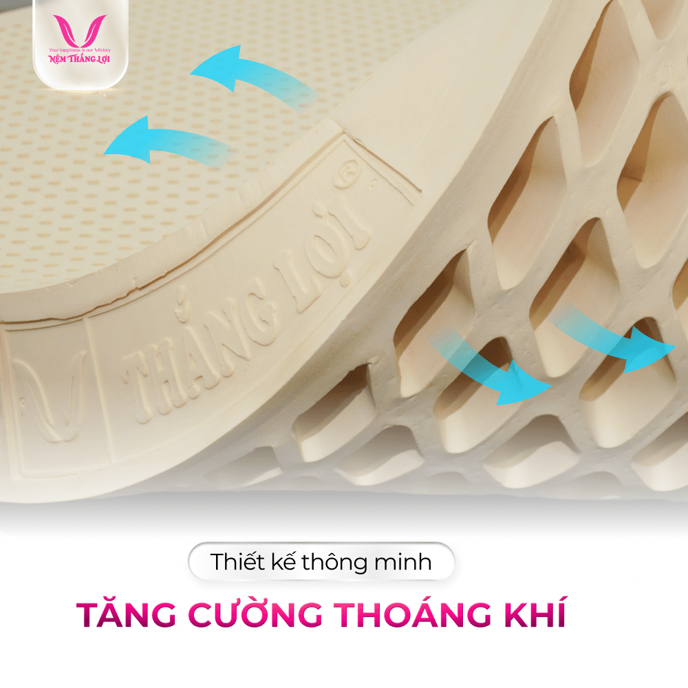 NỆM 100% CAO SU THIÊN NHIÊN THẮNG LỢI SISI – ADVANCED - Ảnh 5