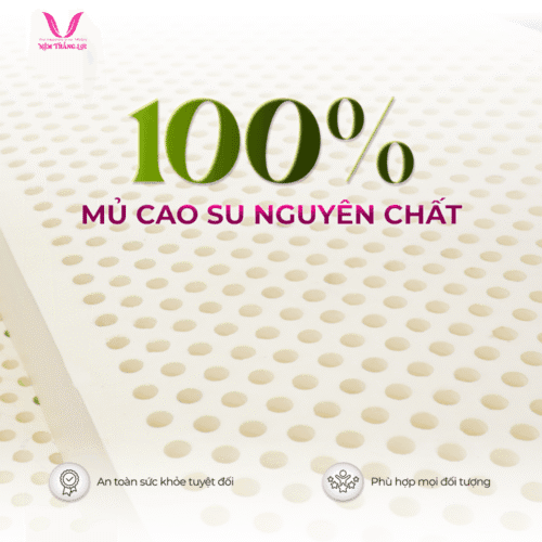 Alternative view of NỆM 100% CAO SU THIÊN NHIÊN THẮNG LỢI TITI – DOUBLE FUNCTION